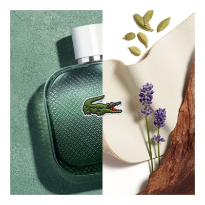 50ML Lacoste L.12.12 BLANC L.12.12 blanc - eau intense  1 of 4 