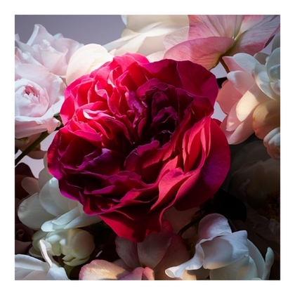 Eau de parfum - La nuit trésor fleur de nuit