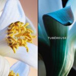 75ML Guerlain JARDINS DE BAGATELLE Eau de parfum 2 of 4 Eau de parfum