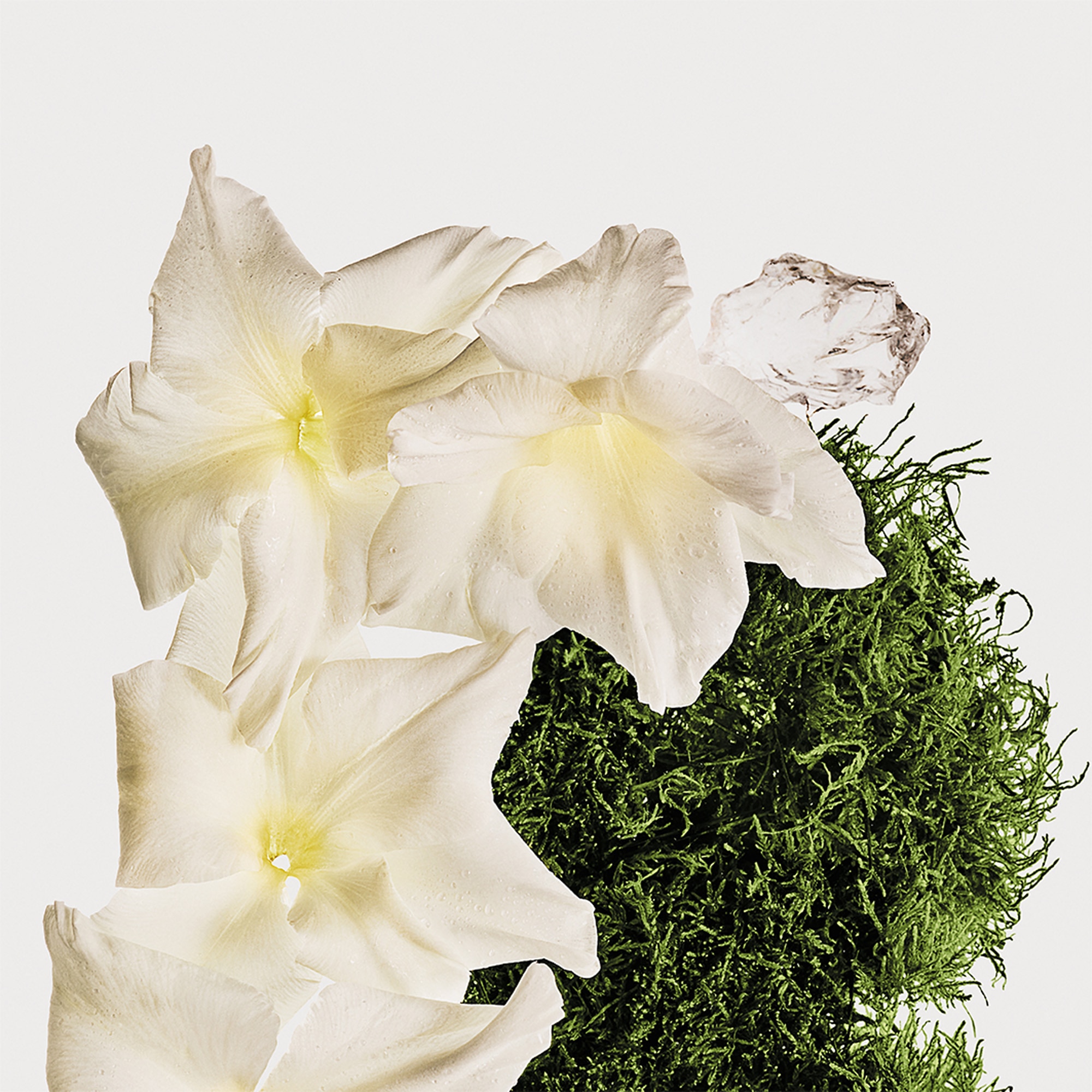 Brume parfumée corps & cheveux