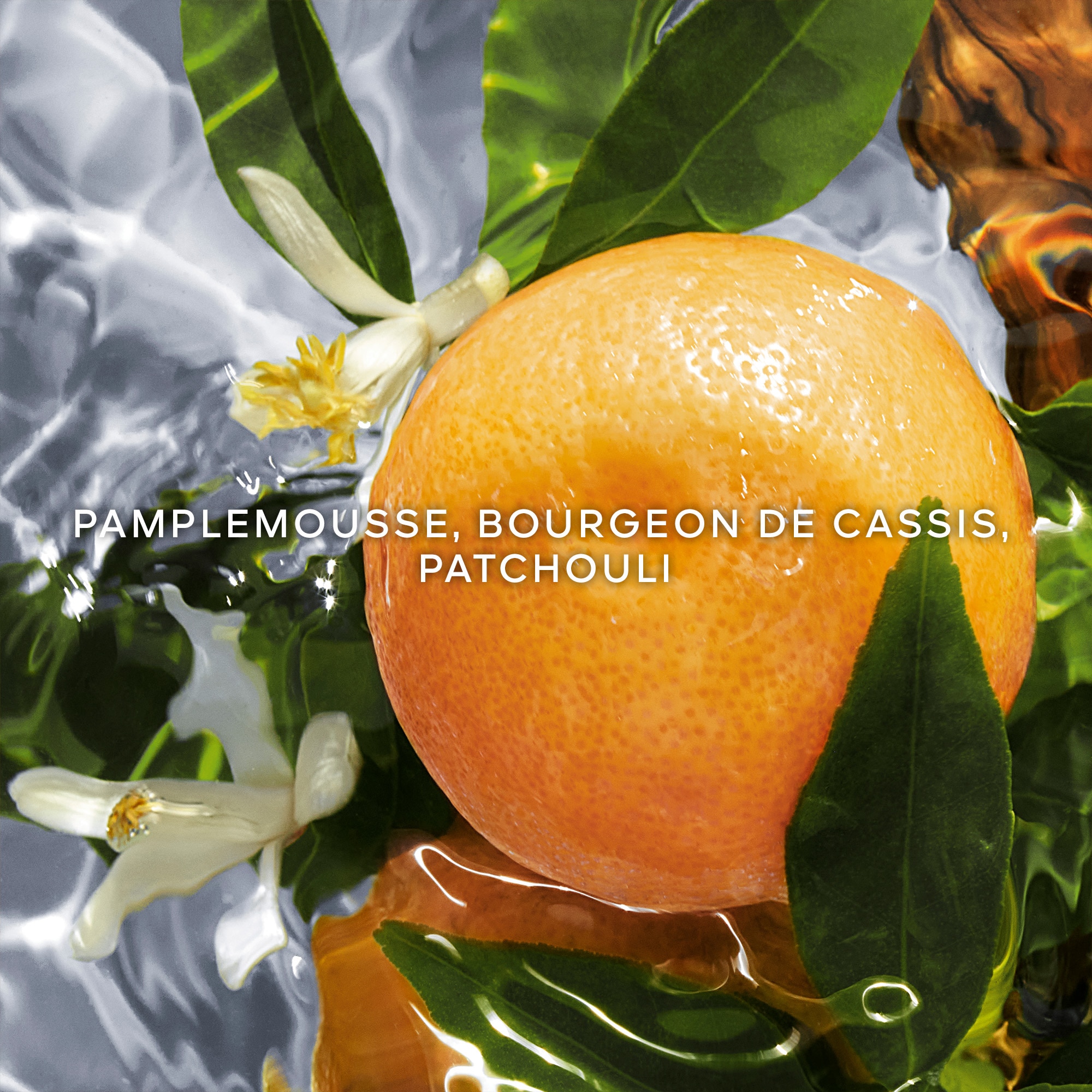 Pamplelune - recharge