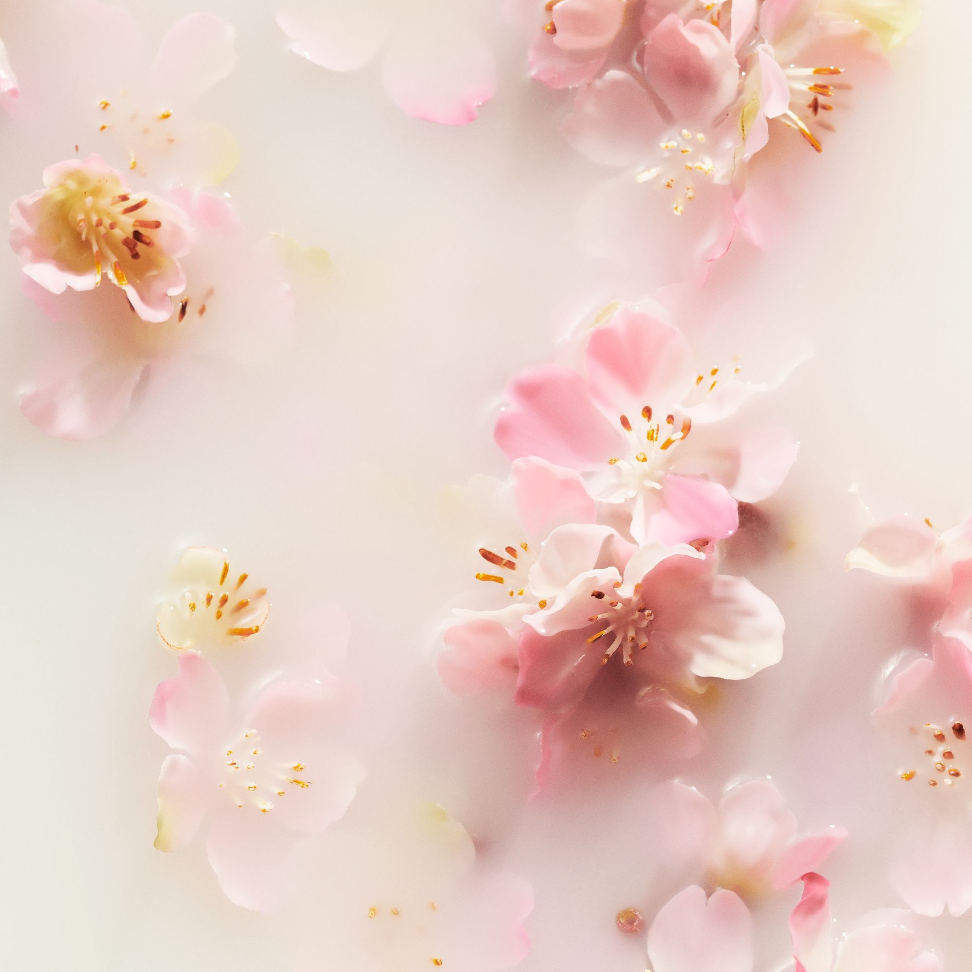 RITUALS THE RITUAL OF SAKURA Coffret corps & bain - large 1 of 3