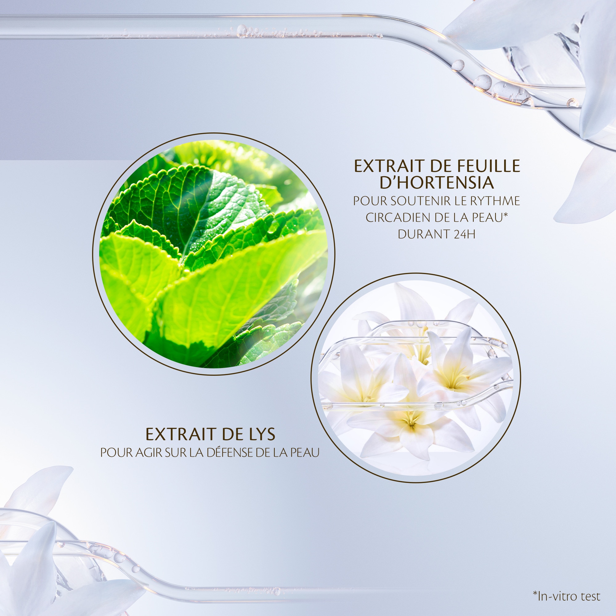 Emulsion jour protectrice