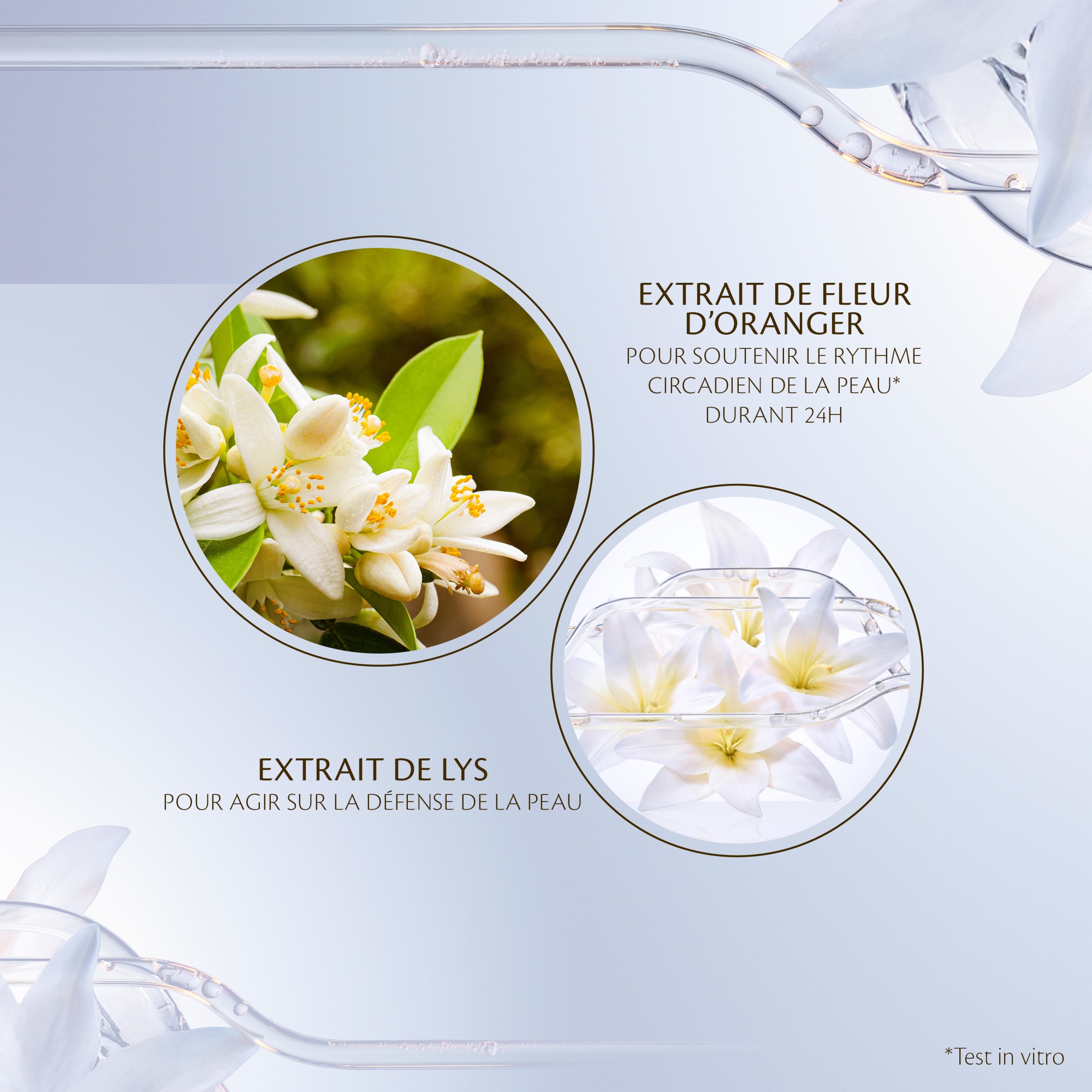 Emulsion nuit intensive