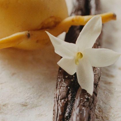 Eau de parfum - jasmin naturel