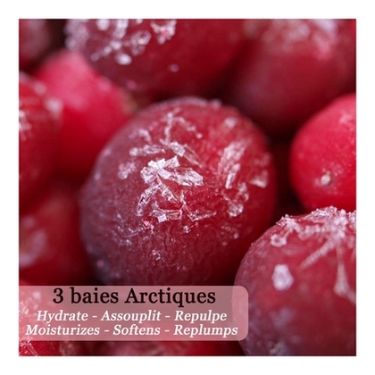 Baume lèvres aux 3 baies arctiques