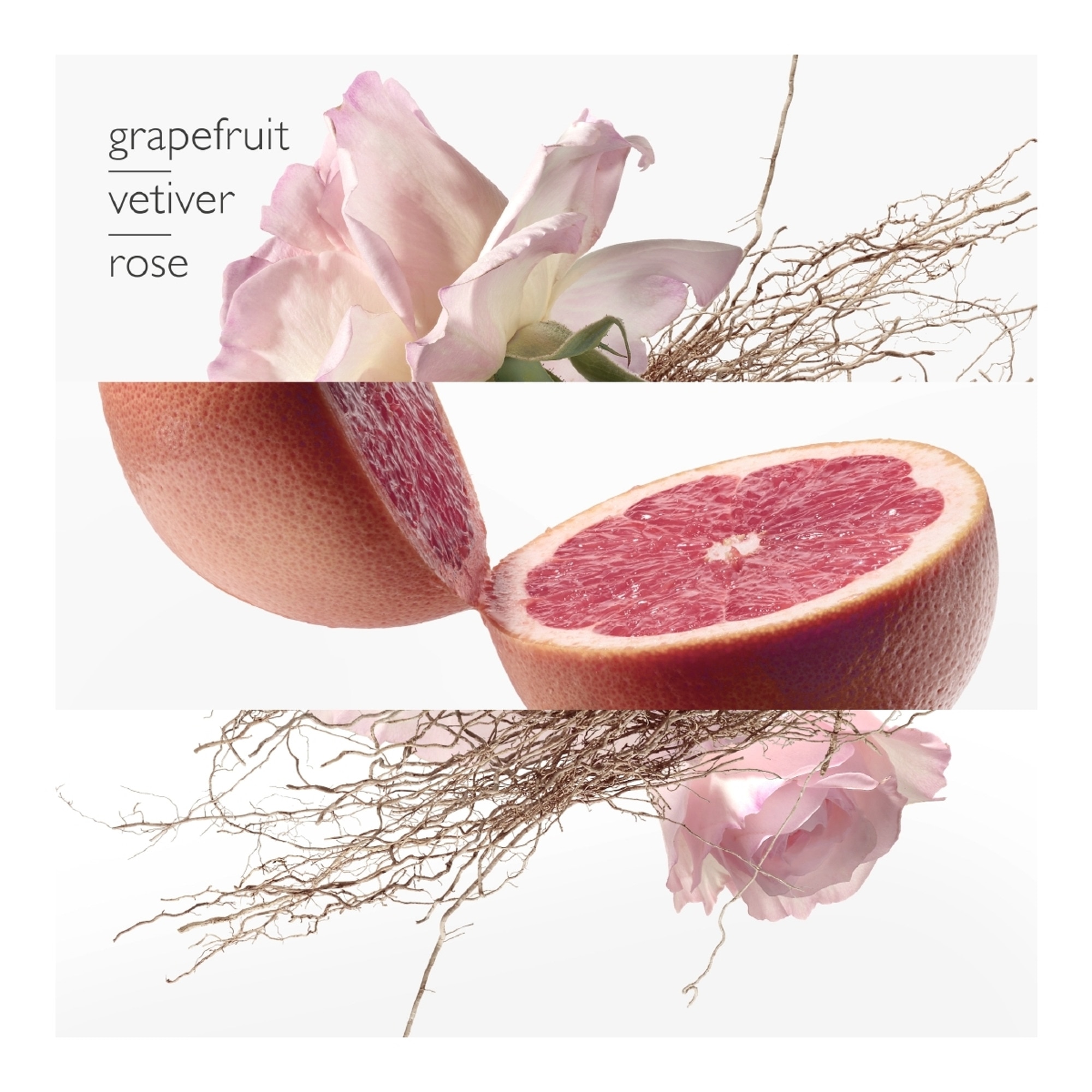 Concentré de pamplemousse rose - eau de toilette