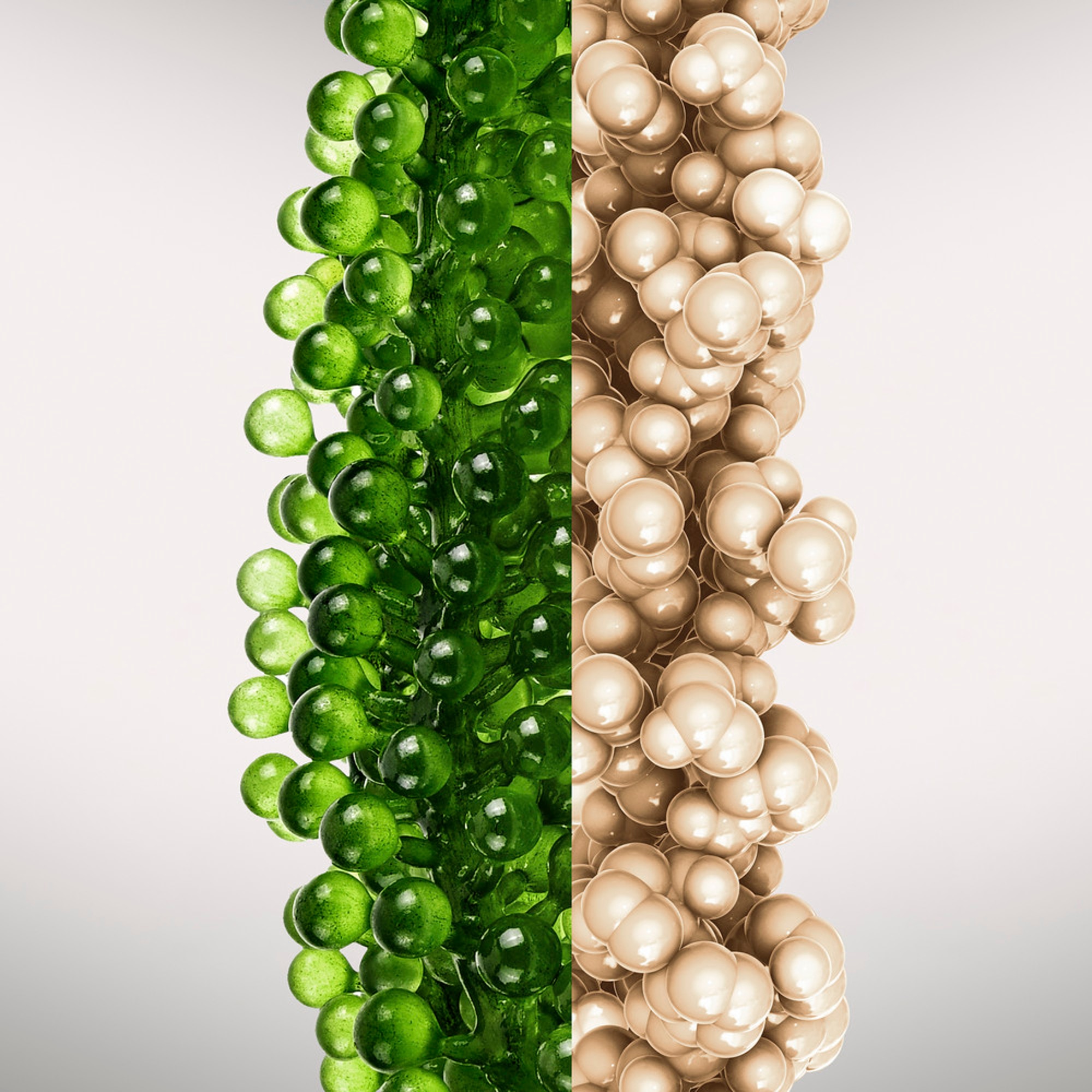 Concentré régénérant liftant