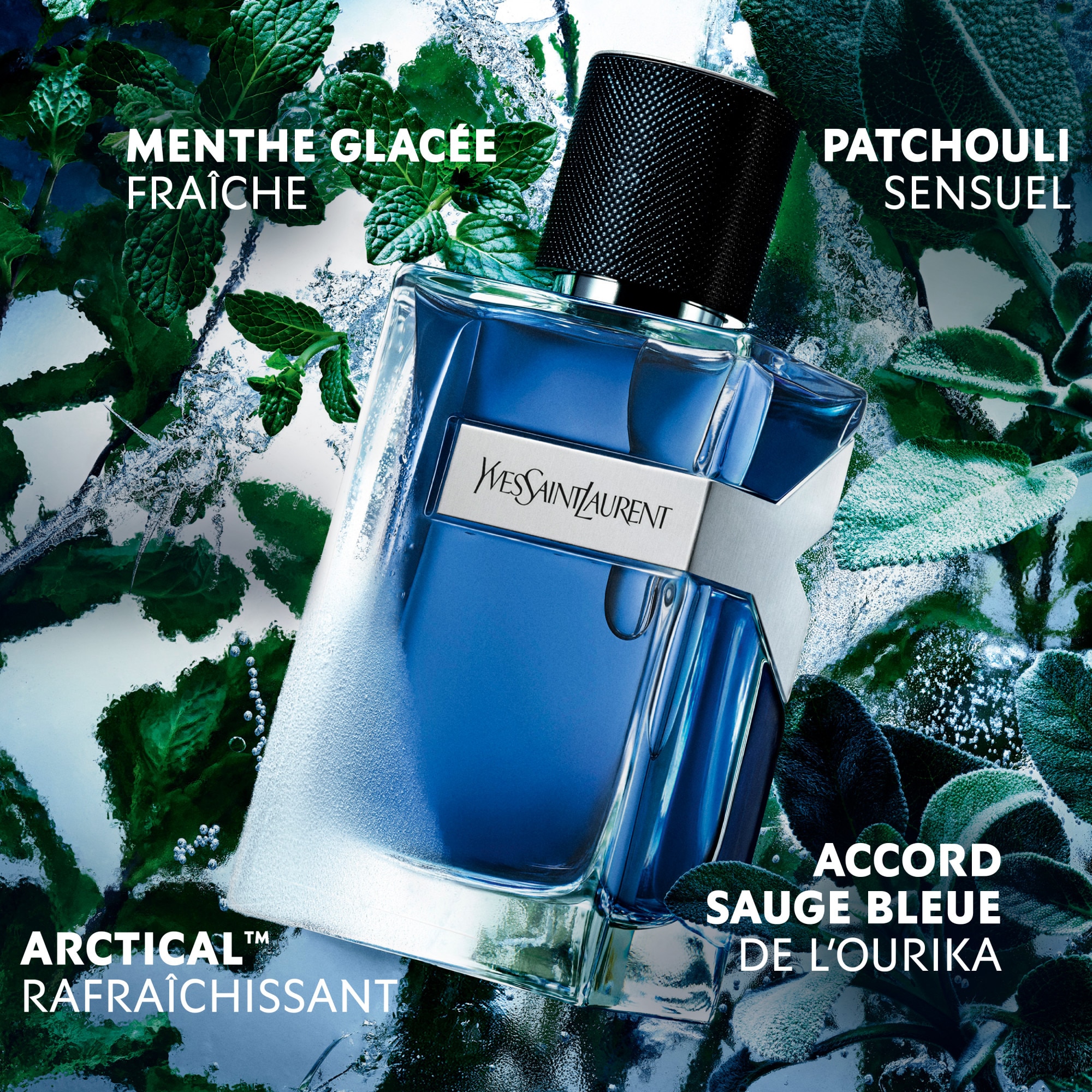 Eau de toilette intense