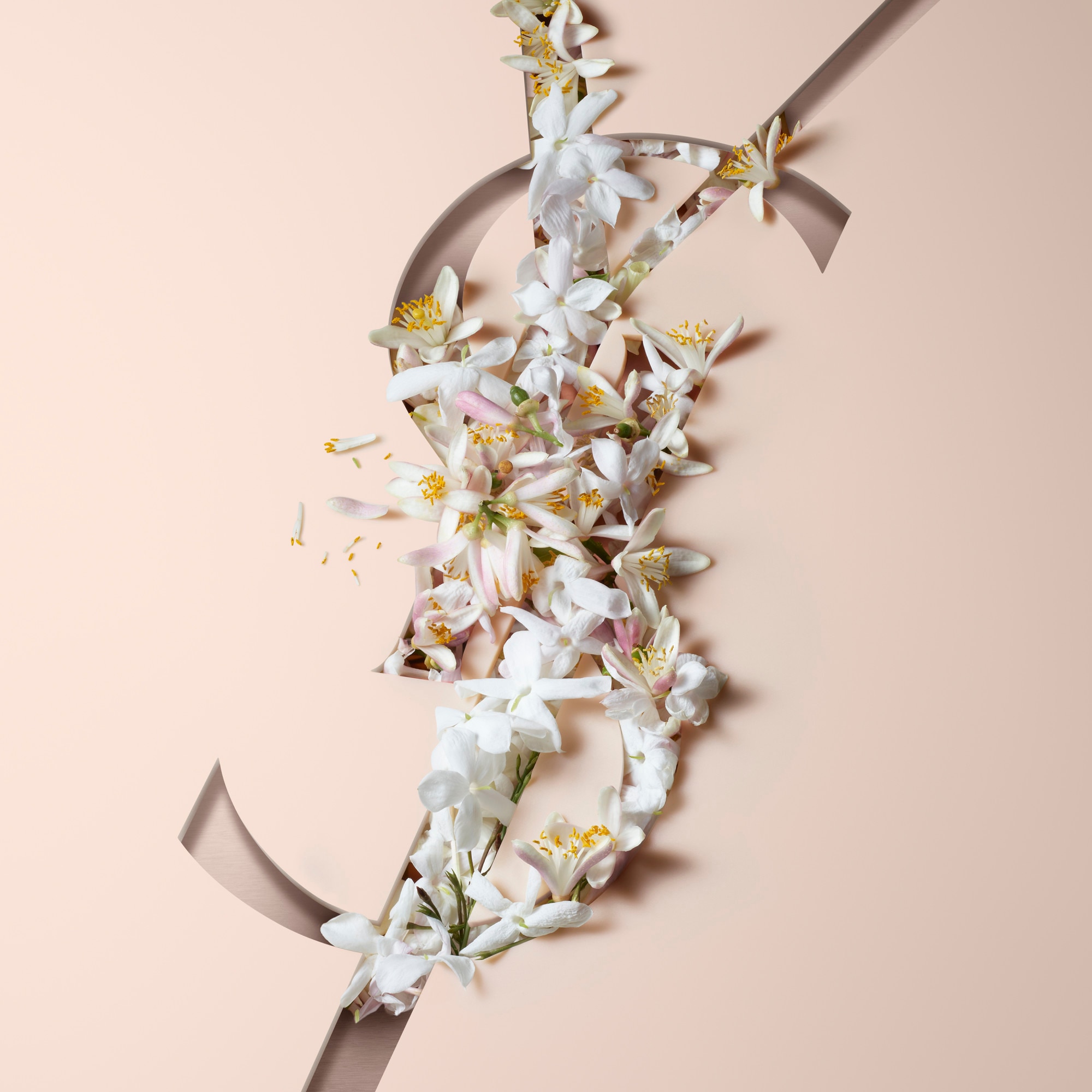 Coffret - rouge à lèvres