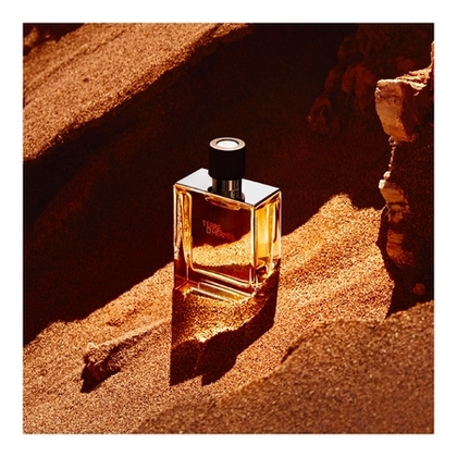 75ML Hermès TERRE D'HERMÈS Parfum  1 of 4 