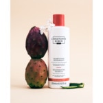 250ML CHRISTOPHE ROBIN REGENERANTE Shampooing - régénérant à l'huile de figue de barbarie  2 of 3 Shampooing - régénérant à l'huile de figue de barbarie