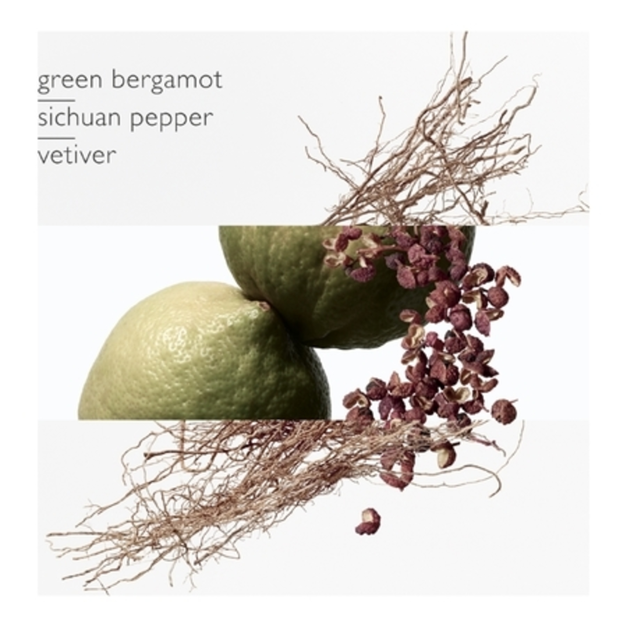 Eau intense vétiver eau de parfum - recharge