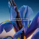 120G Guerlain L'HEURE BLEUE Savon parfumé  3 of 6 Savon parfumé