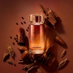 50ML KARL LAGERFELD LES PARFUMS MATIÈRES Bois de oud - eau de toilette 3 of 4 Bois de oud - eau de toilette