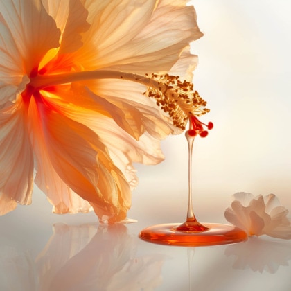 Gel à l'hibiscus