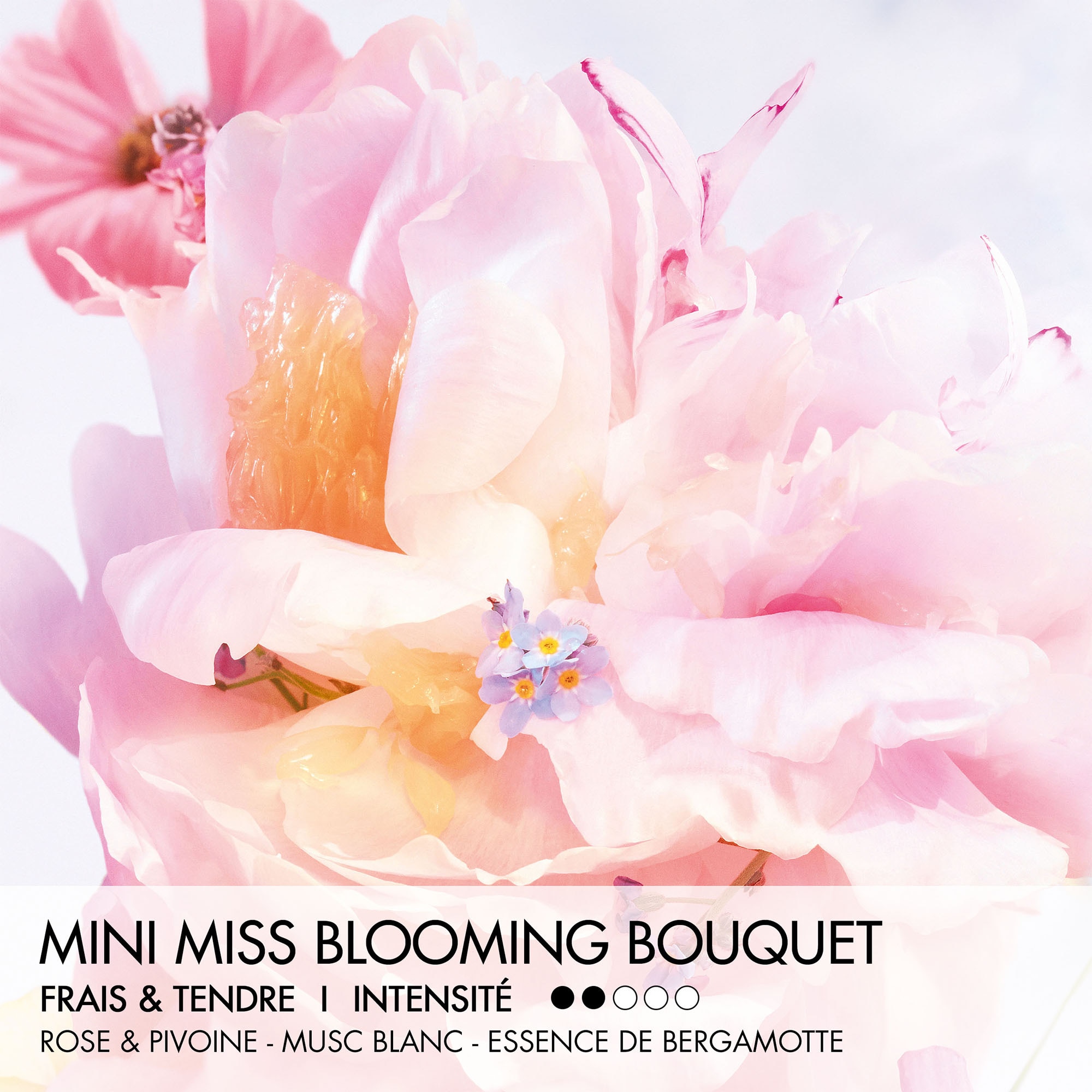 Blooming bouquet eau de toilette - mini miss parfum solide parfum en stick sans alcool