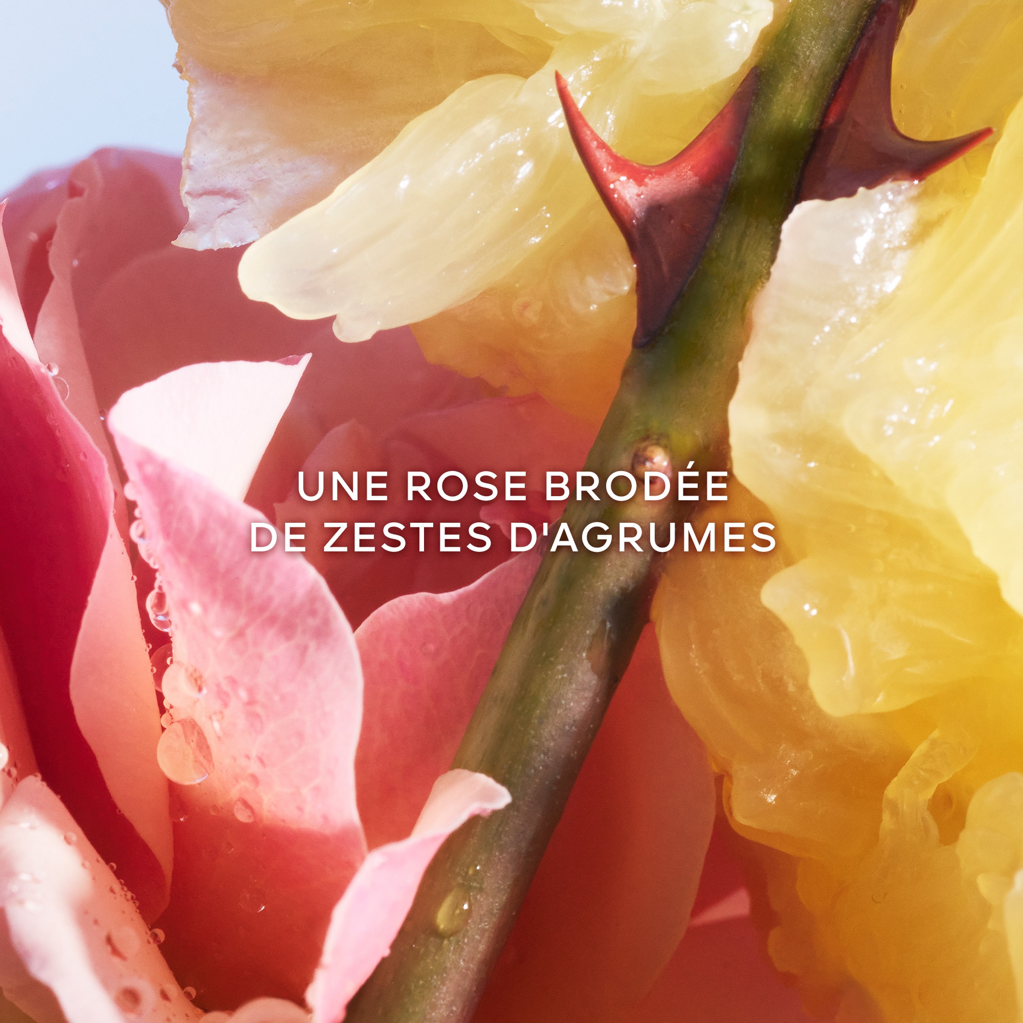 Coffret eau de toilette + miniature + lait pour le corps