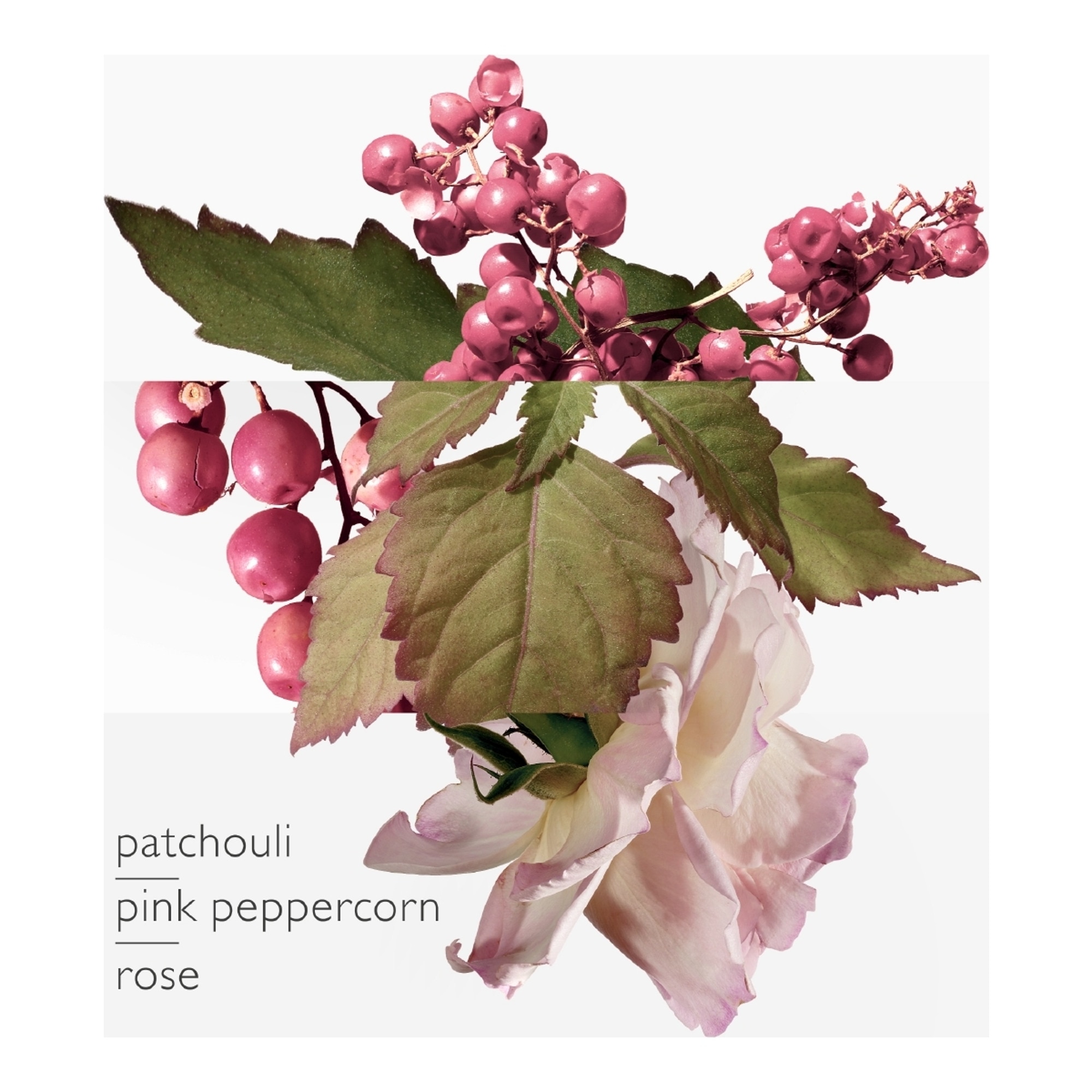 Eau poivrée - eau de parfum