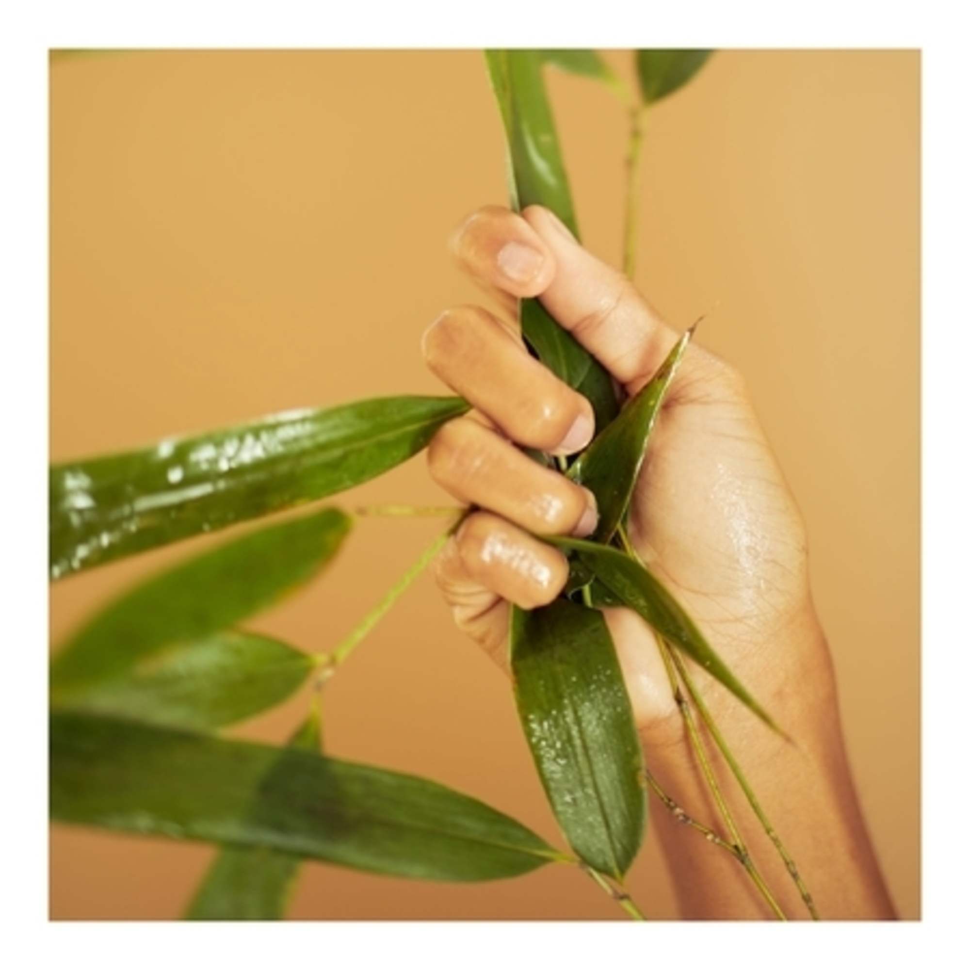 Gel effet mat hydratant contour des yeux