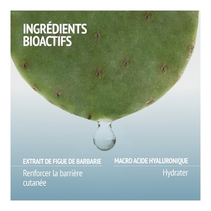 Masque hydratant repulpant