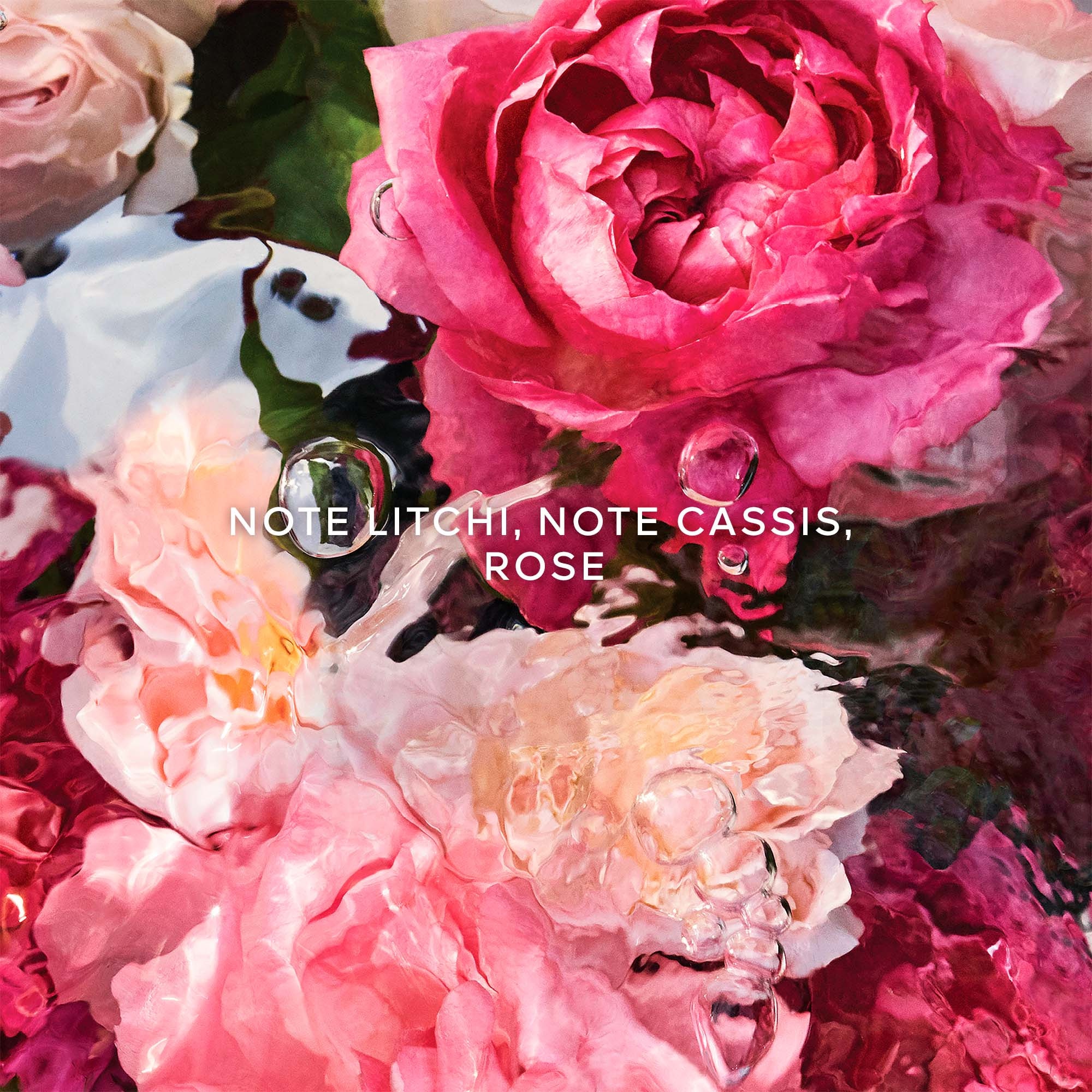 Rosa rossa - eau de toilette