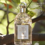 75ML Guerlain AQUA ALLEGORIA Mandarine basilic 4 of 4 Mandarine basilic