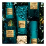 150ML Tom Ford NEROLI PORTOFINO Vaporisateur pour le corps 4 of 4 Vaporisateur pour le corps