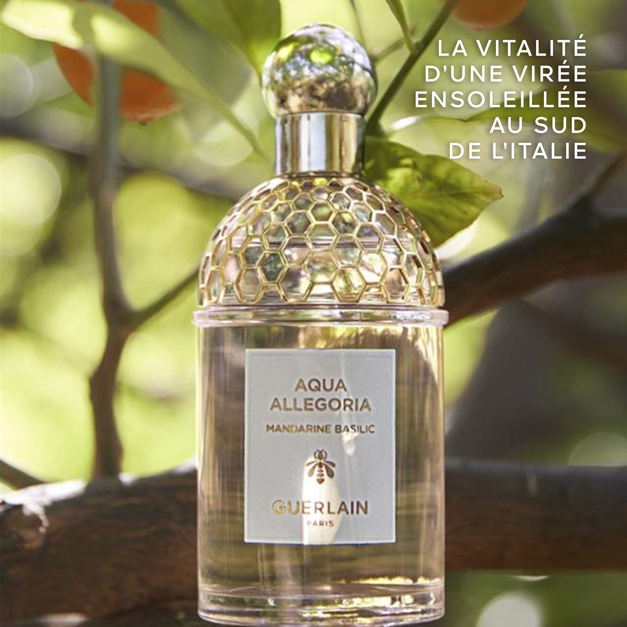 125ML Guerlain AQUA ALLEGORIA Mandarine basilic  1 of 4 