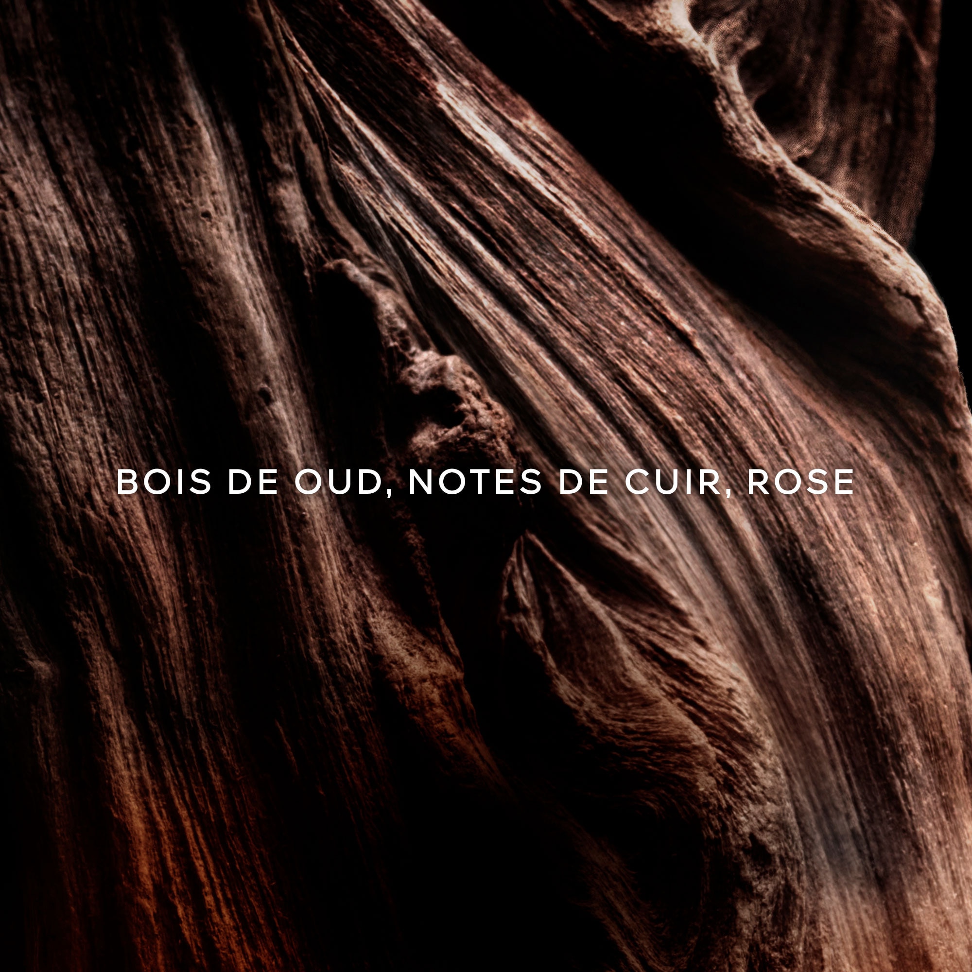 Oud essentiel eau de parfum