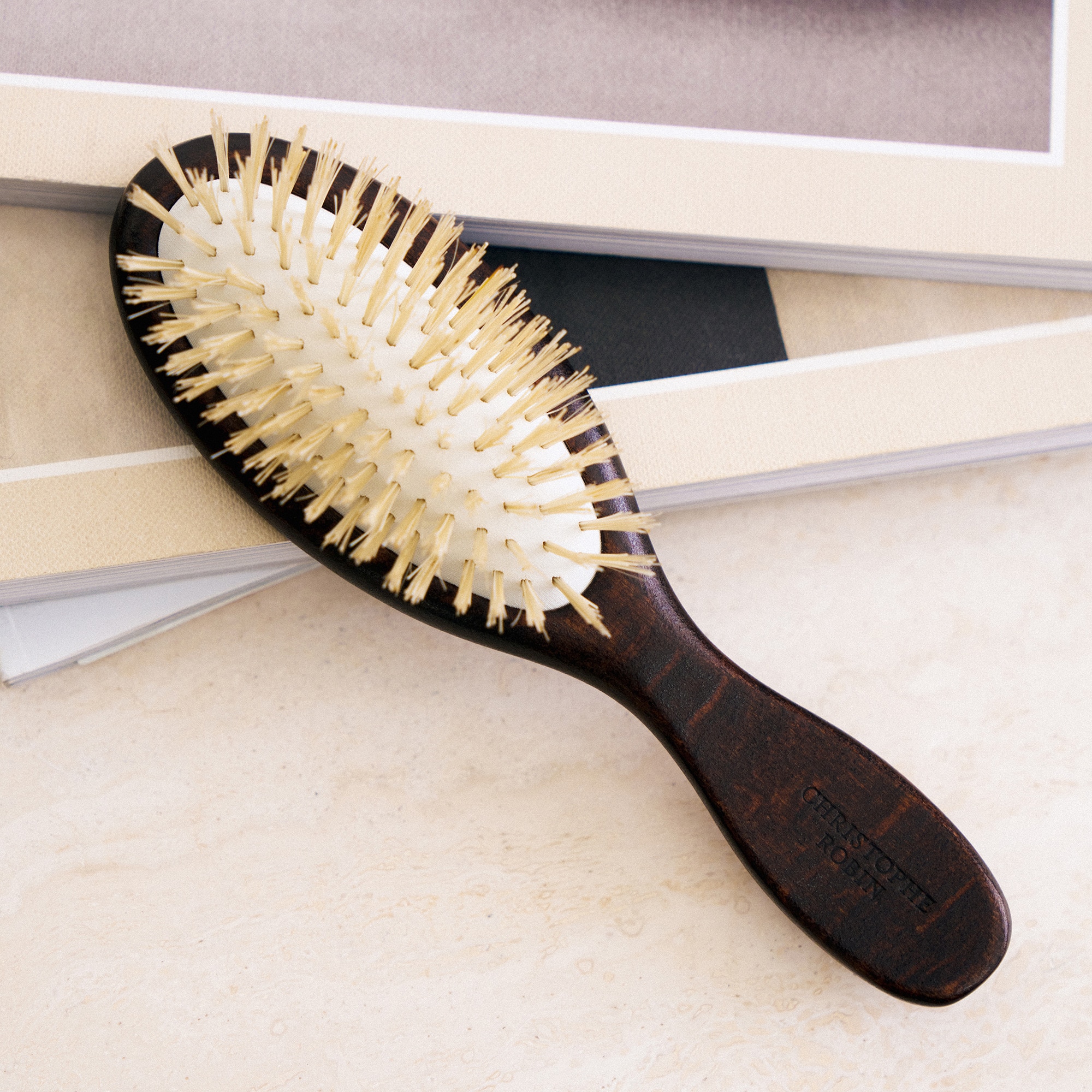 Brosse de voyage