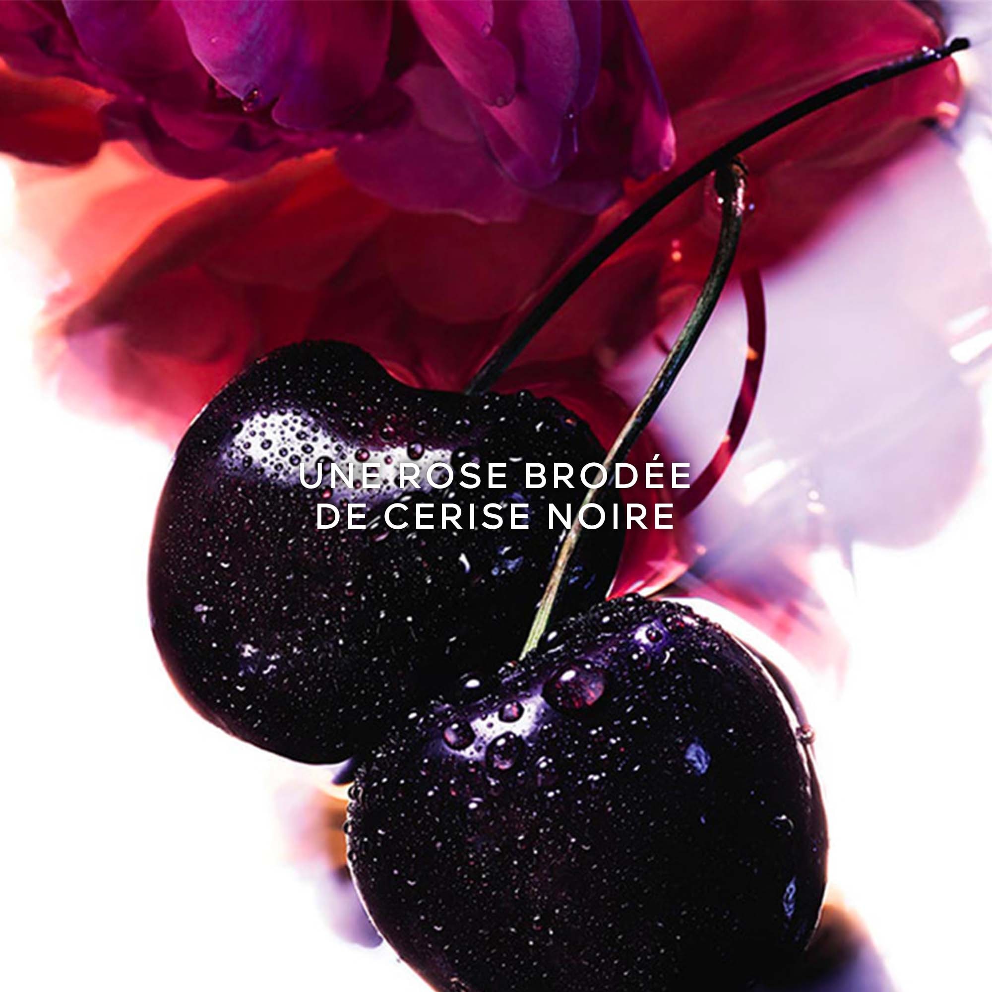  Guerlain LA PETITE ROBE NOIRE Coffret eau de parfum + lait pour le corps + miniature  1 of 4 