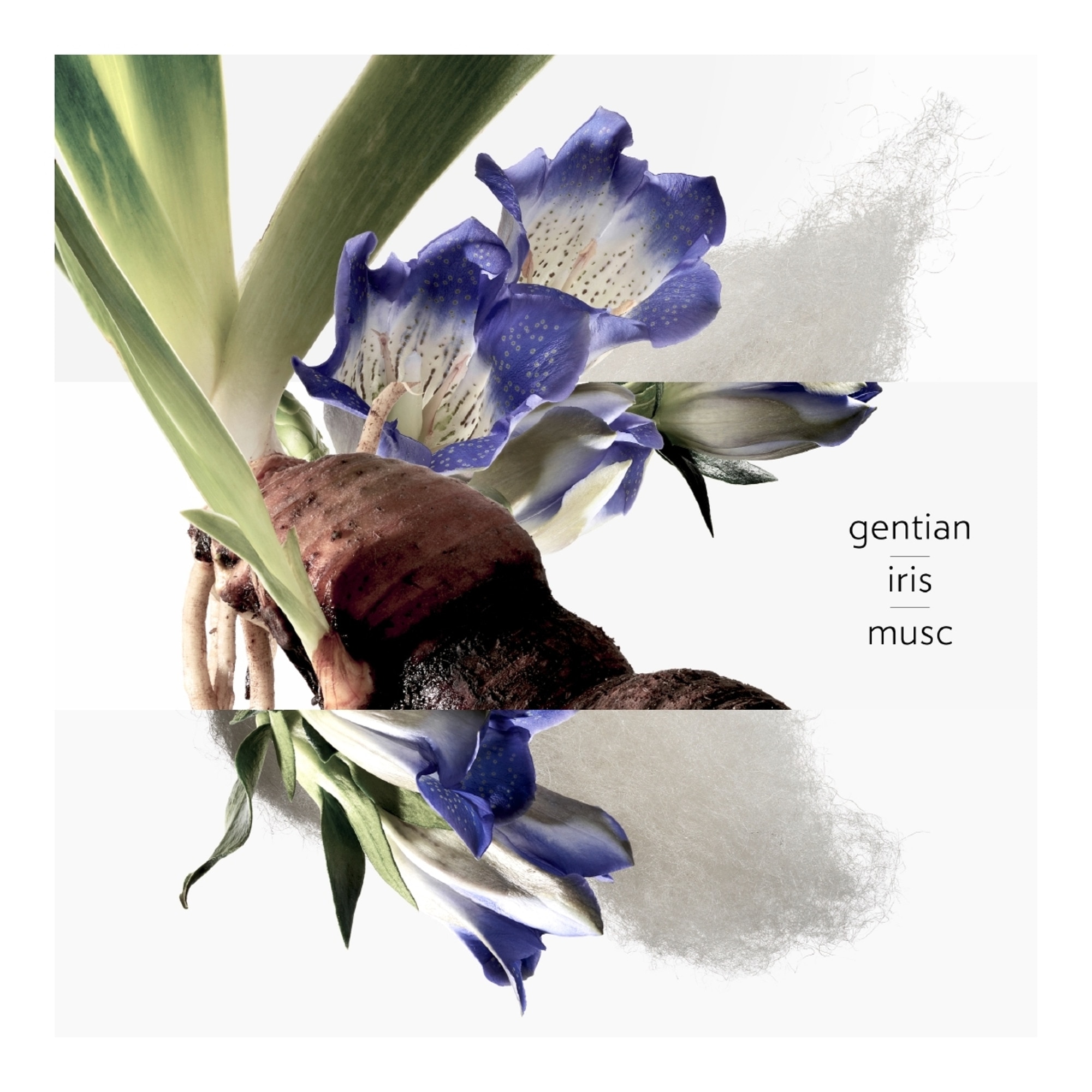 L'eau de gentiane blanche - eau de cologne