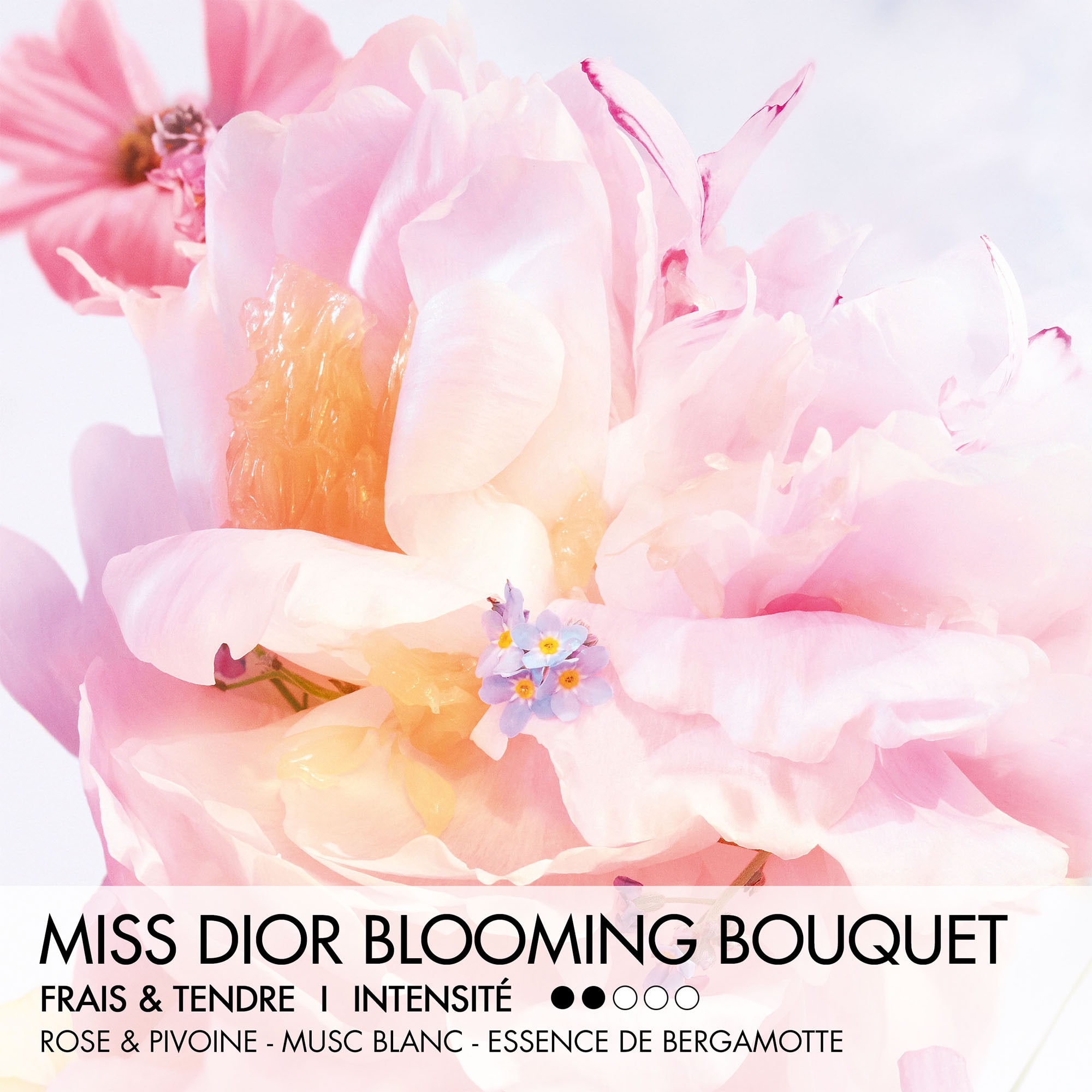 20ML DIOR MISS DIOR BLOOMING BOUQUET Eau de toilette roller-pearl - florale et fraîche 1 of 4