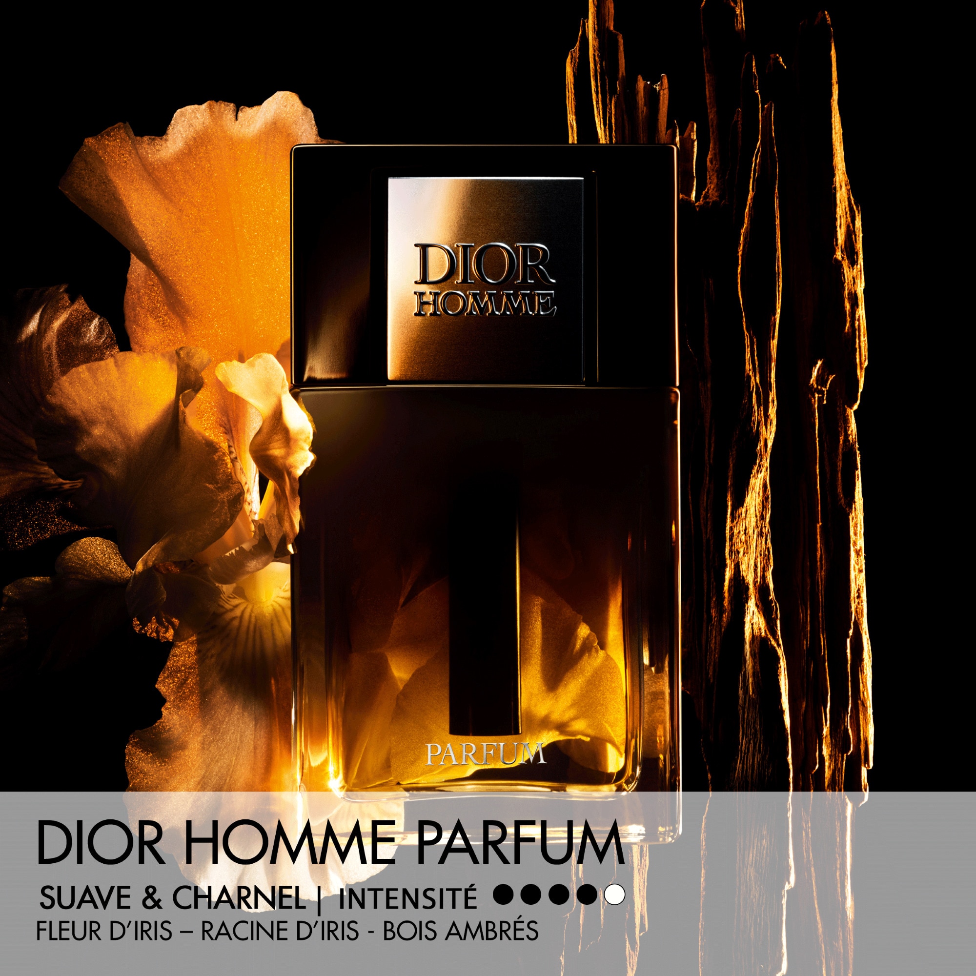 75ML DIOR DIOR HOMME Parfum - notes ambrées, boisées et fleuries 1 of 4