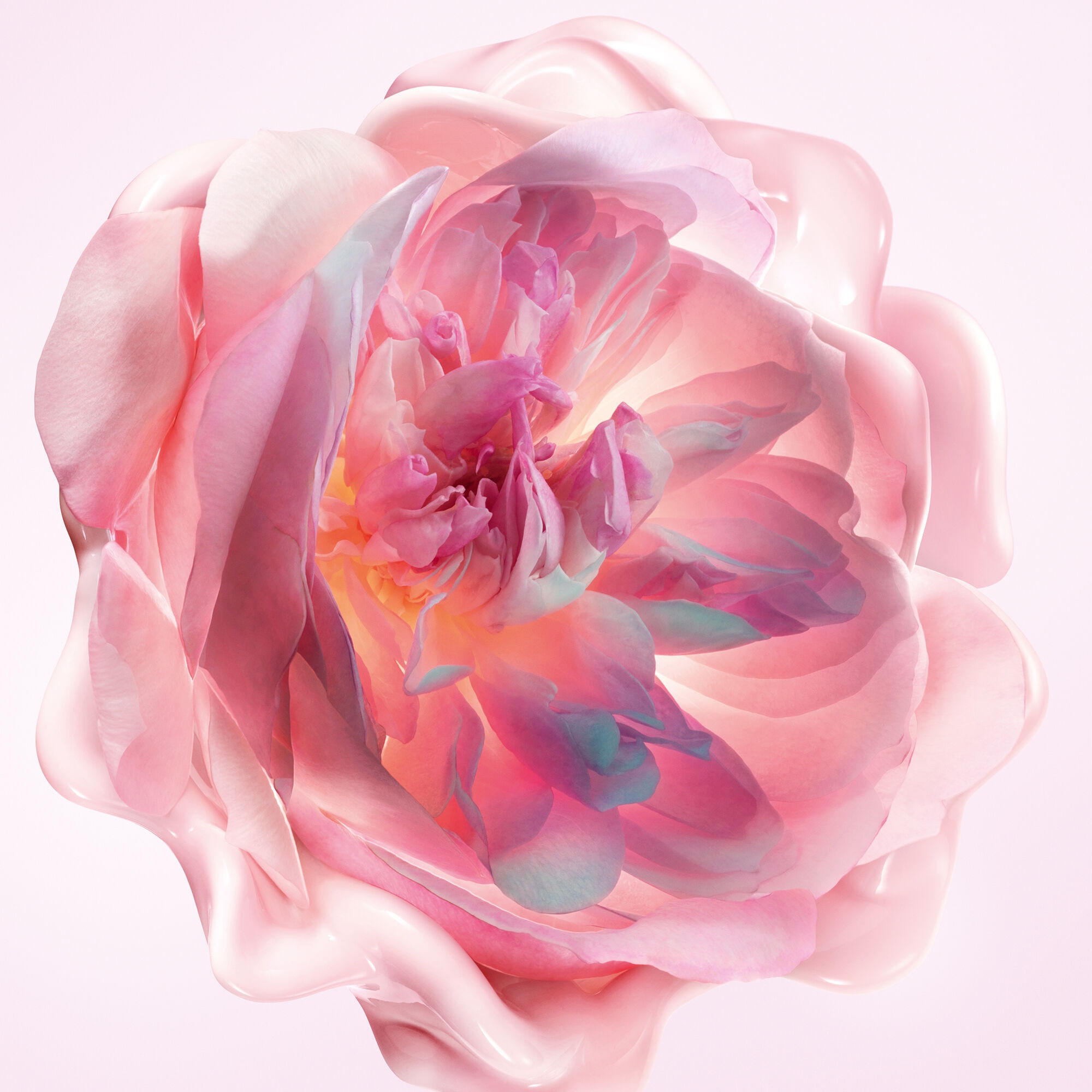 50mL DIOR MISS DIOR Crème mains fondante - crème hydratante parfumée pour les mains  1 of 4 