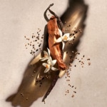 150ML ZADIG & VOLTAIRE ZADIG Eau de parfum - recharge 3 of 4 Eau de parfum - recharge