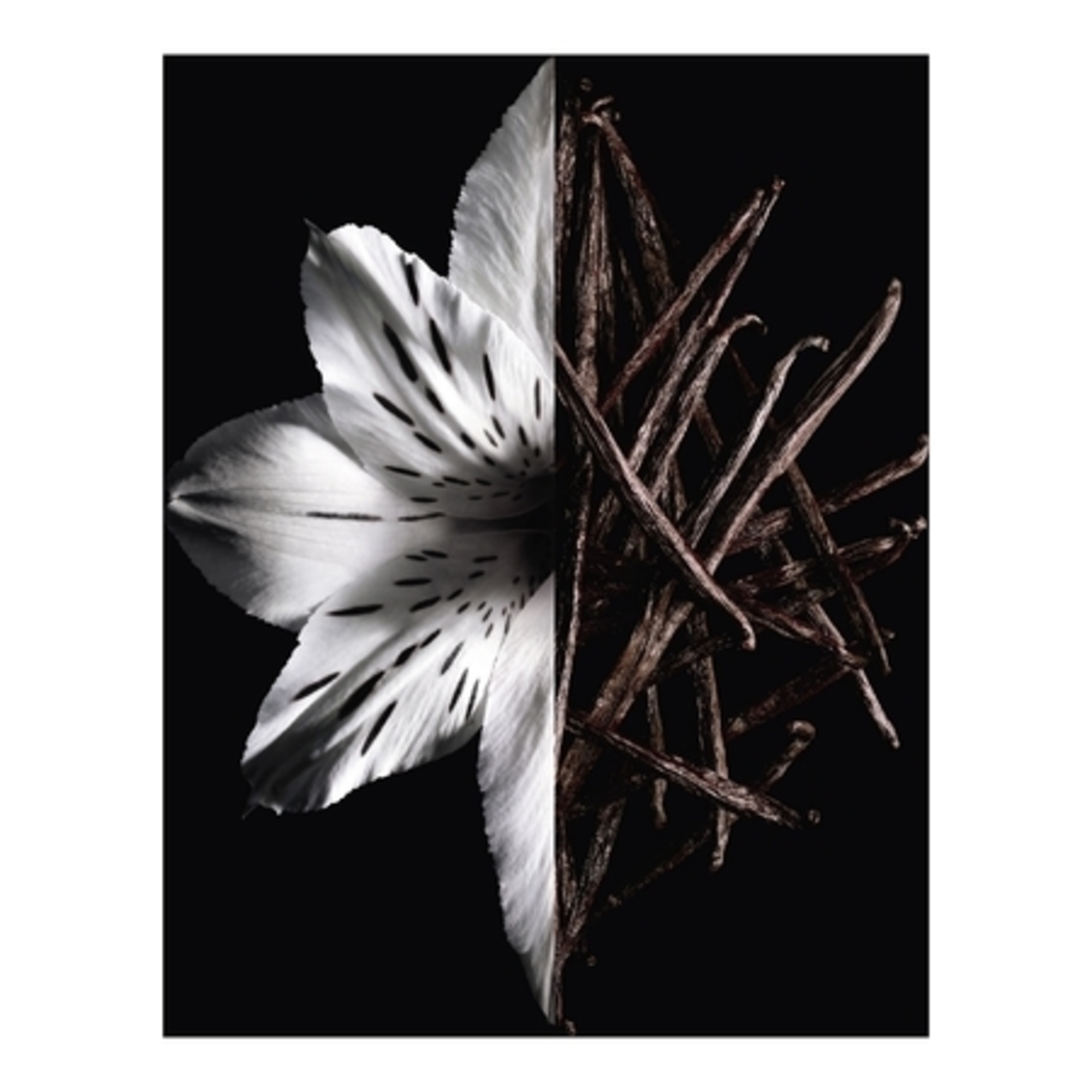 Eau de parfum intense