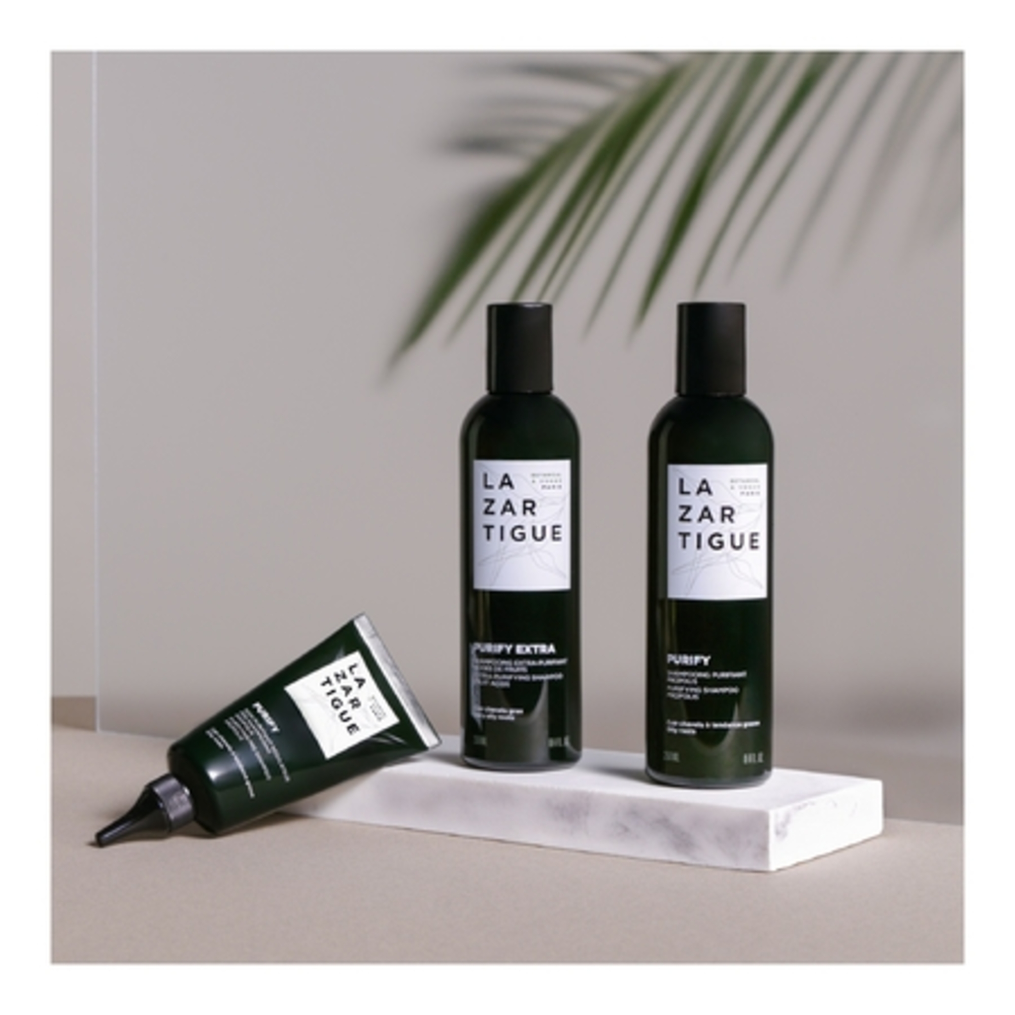 Shampooing cheveux gras