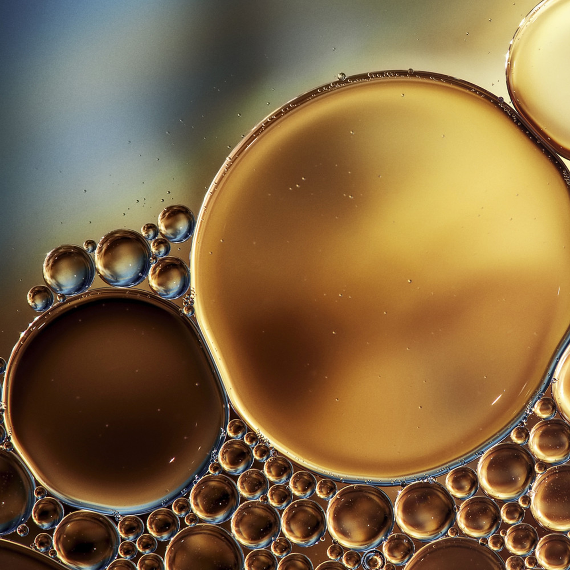 Le tonique essentiel