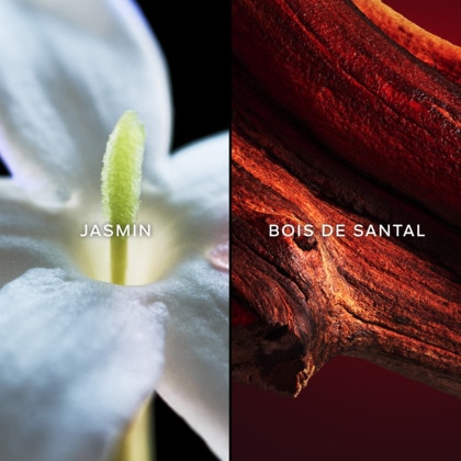 Eau de toilette