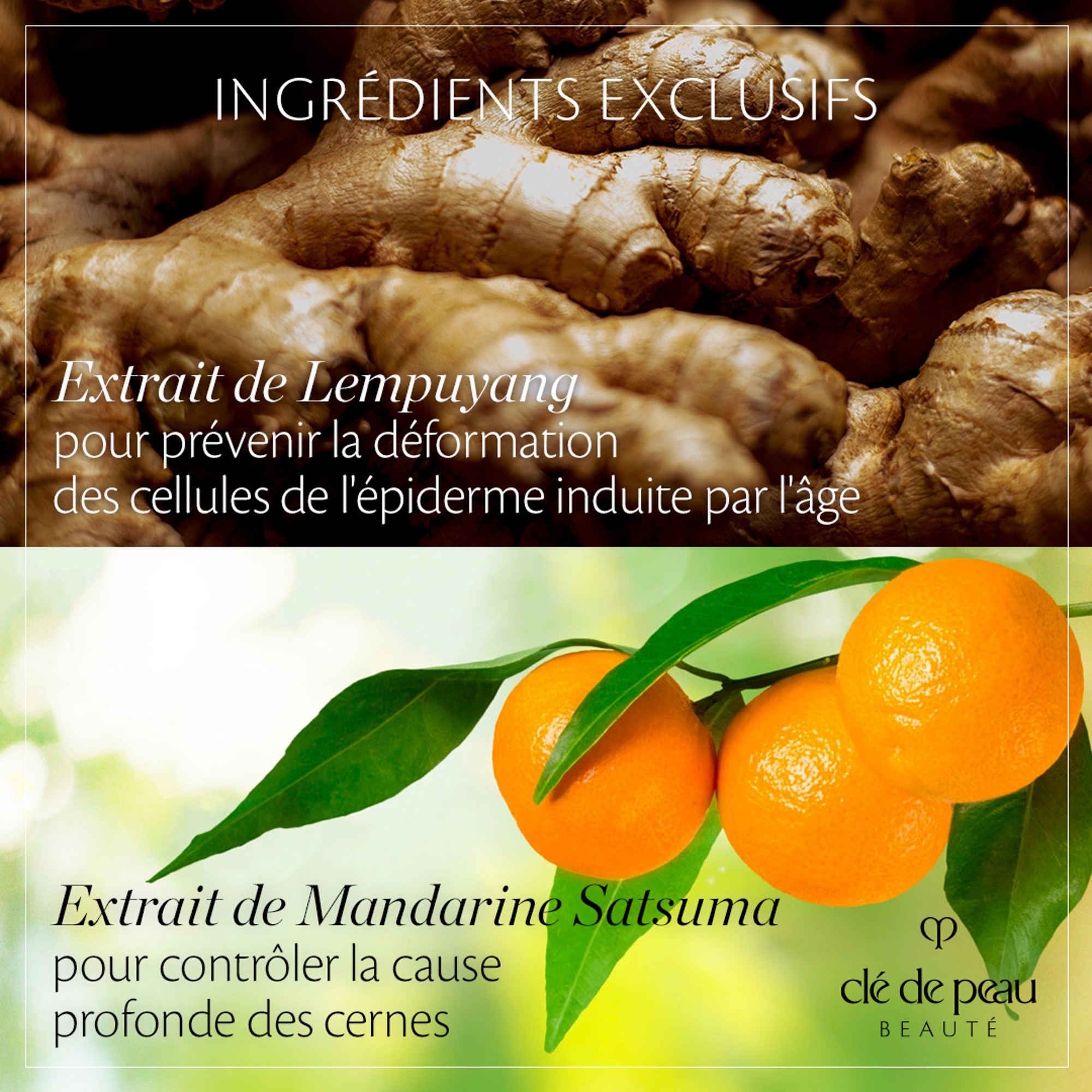 Crème contour des yeux