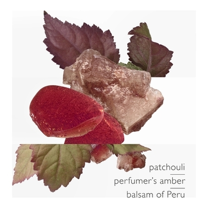 Eau de parfum- l'ambre des merveilles