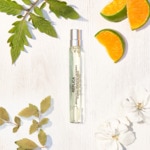 10ML MAISON MARGIELA REPLICA FROM THE GARDEN Eau de toilette 4 of 4 Eau de toilette