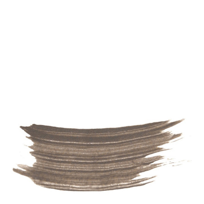 Phyto-Sourcils Fix