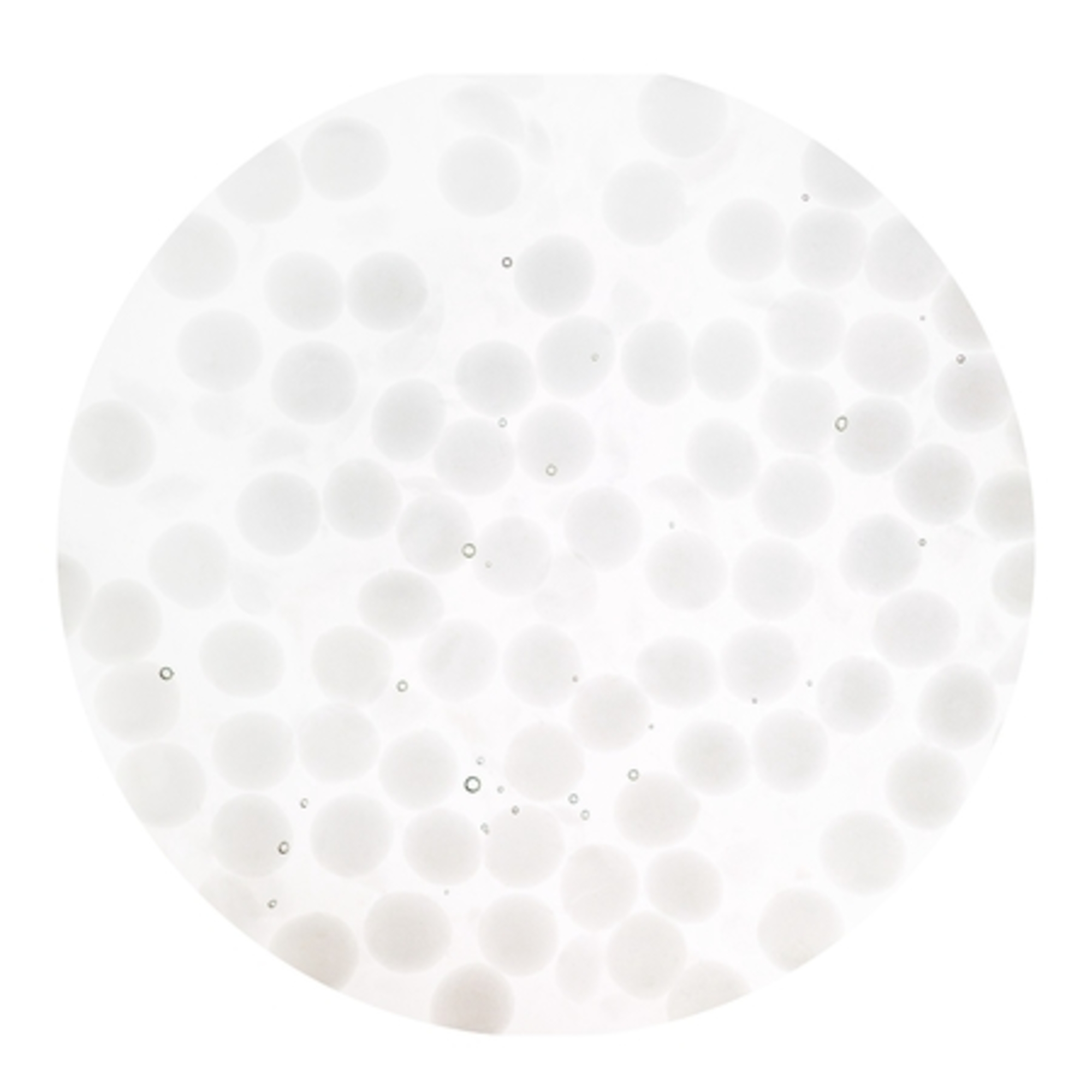 Sérum lift intégral