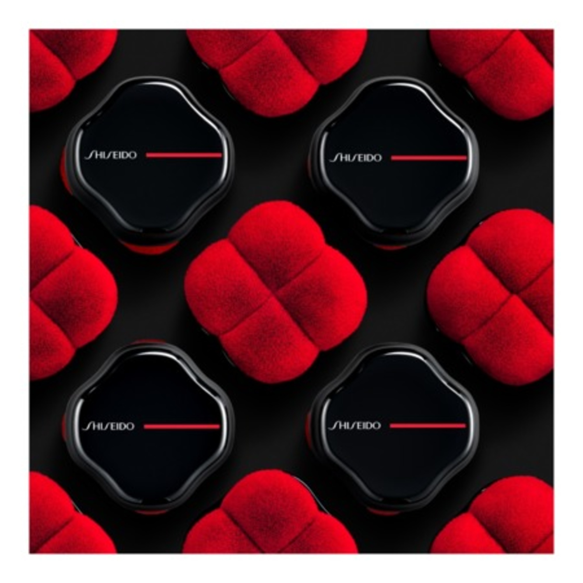 Pinceau lissant pour Le Visage