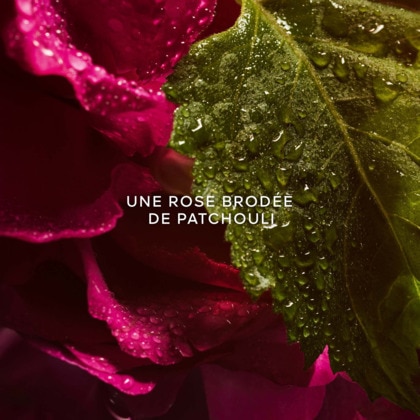 Eau de parfum absolue