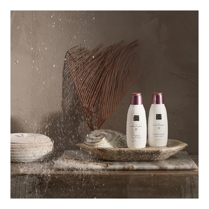 Shampoing volume & nutrition