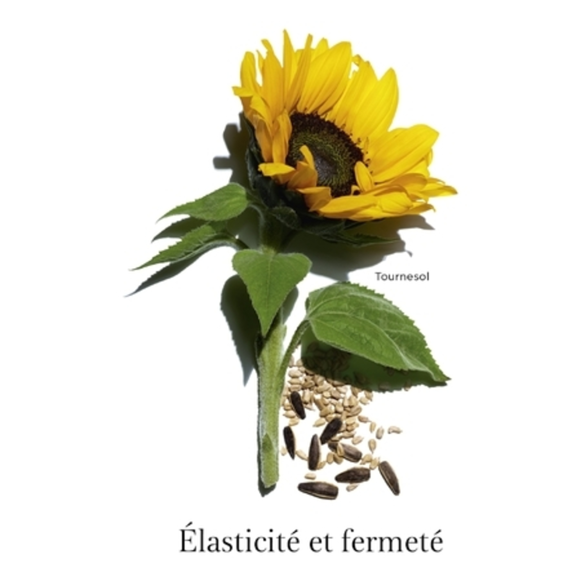 Extra-Firming cou et décolleté  <br/> Soin jeunesse lift-regalbant